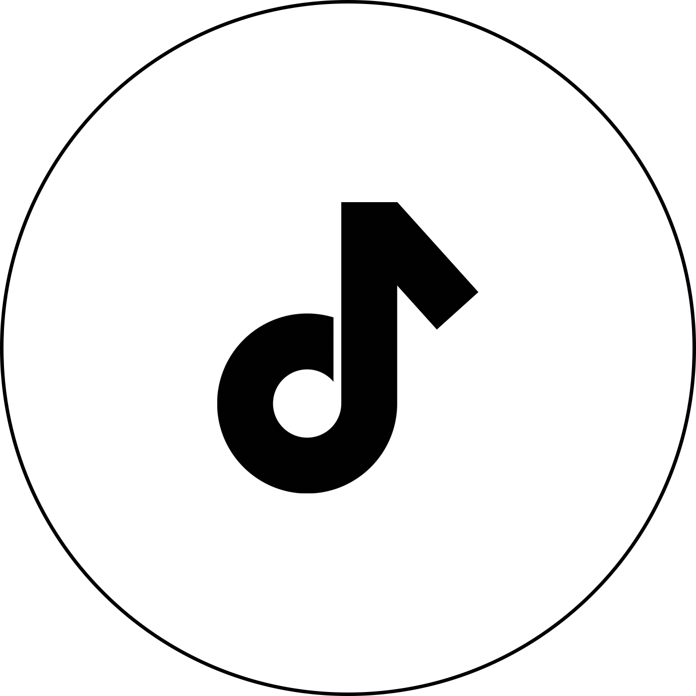 Alt Image